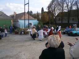 szuret16_28_20220219